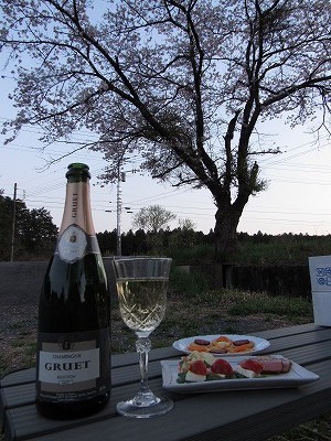 f:id:docan:20220408212552j:plain