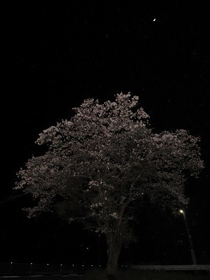 f:id:docan:20220408212646j:plain