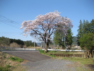 f:id:docan:20220408212701j:plain