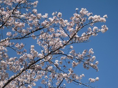 f:id:docan:20220408212704j:plain