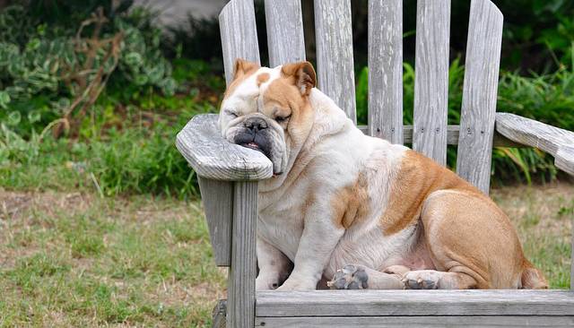 f:id:dochi-m:20191107160051j:plain f:id:dochi-m:20191107160051j:plain