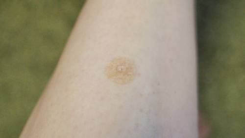 f:id:dochi-m:20200216140007j:plain f:id:dochi-m:20200216140007j:plain