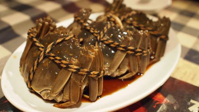 f:id:dochi-m:20201120162912j:plain