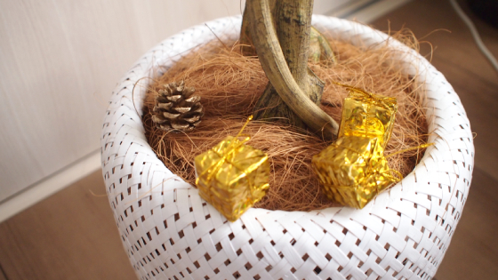 f:id:dochi-m:20201127113853j:plain