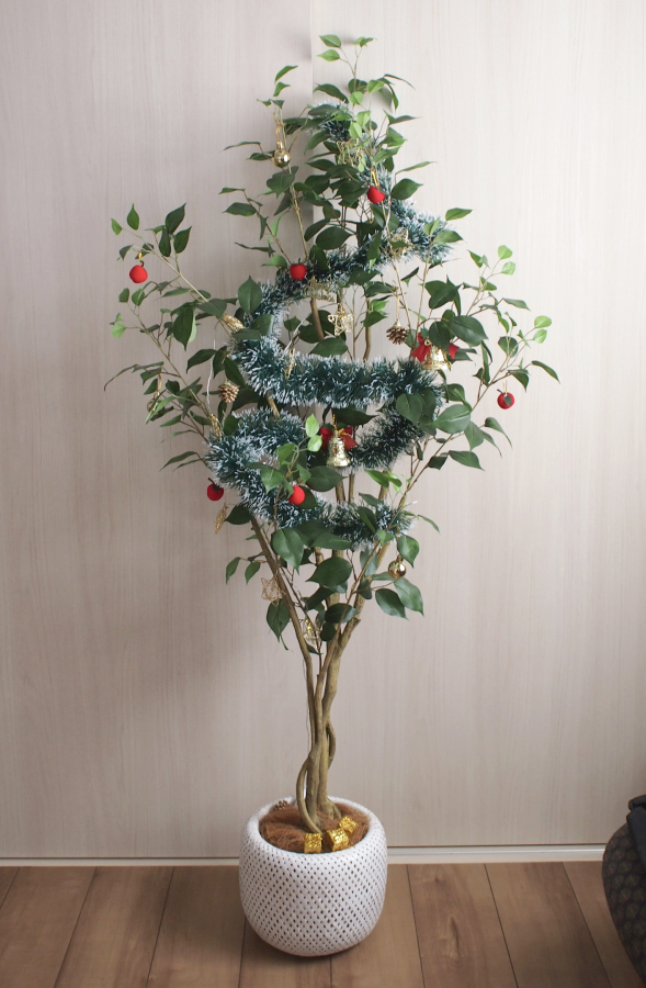 f:id:dochi-m:20201128125446j:plain