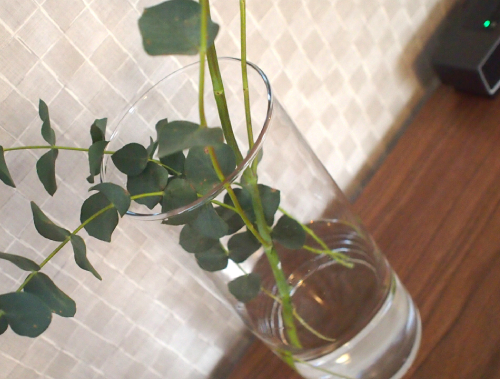 f:id:dochi-m:20201213171900j:plain