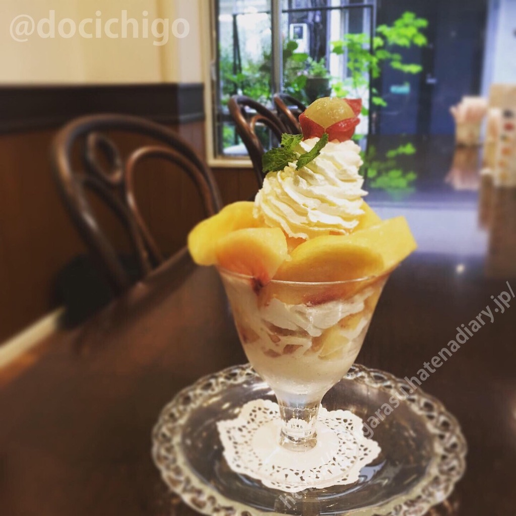 f:id:docichigo:20190911211838j:image f:id:docichigo:20190911211838j:image