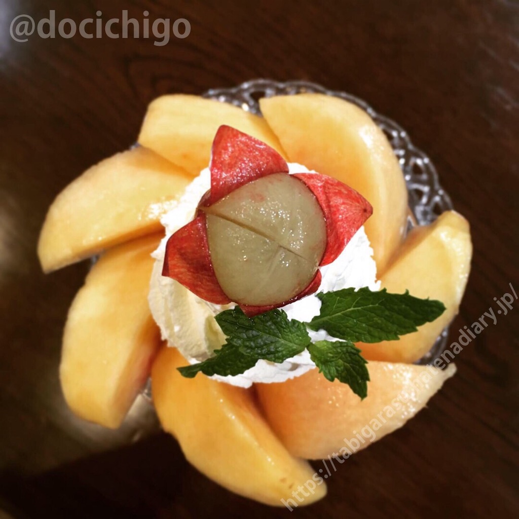 f:id:docichigo:20190911211844j:image f:id:docichigo:20190911211844j:image