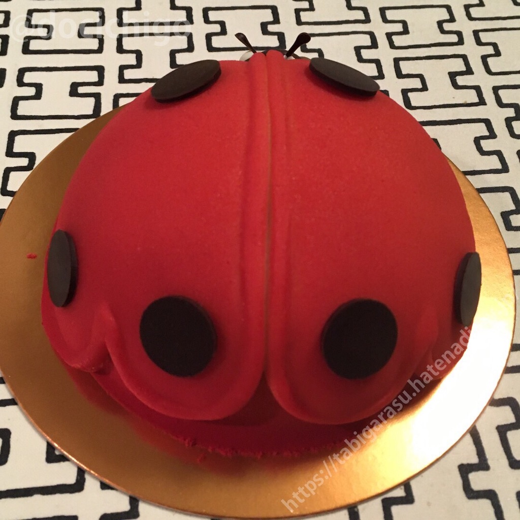 f:id:docichigo:20191030210607j:image f:id:docichigo:20191030210607j:image