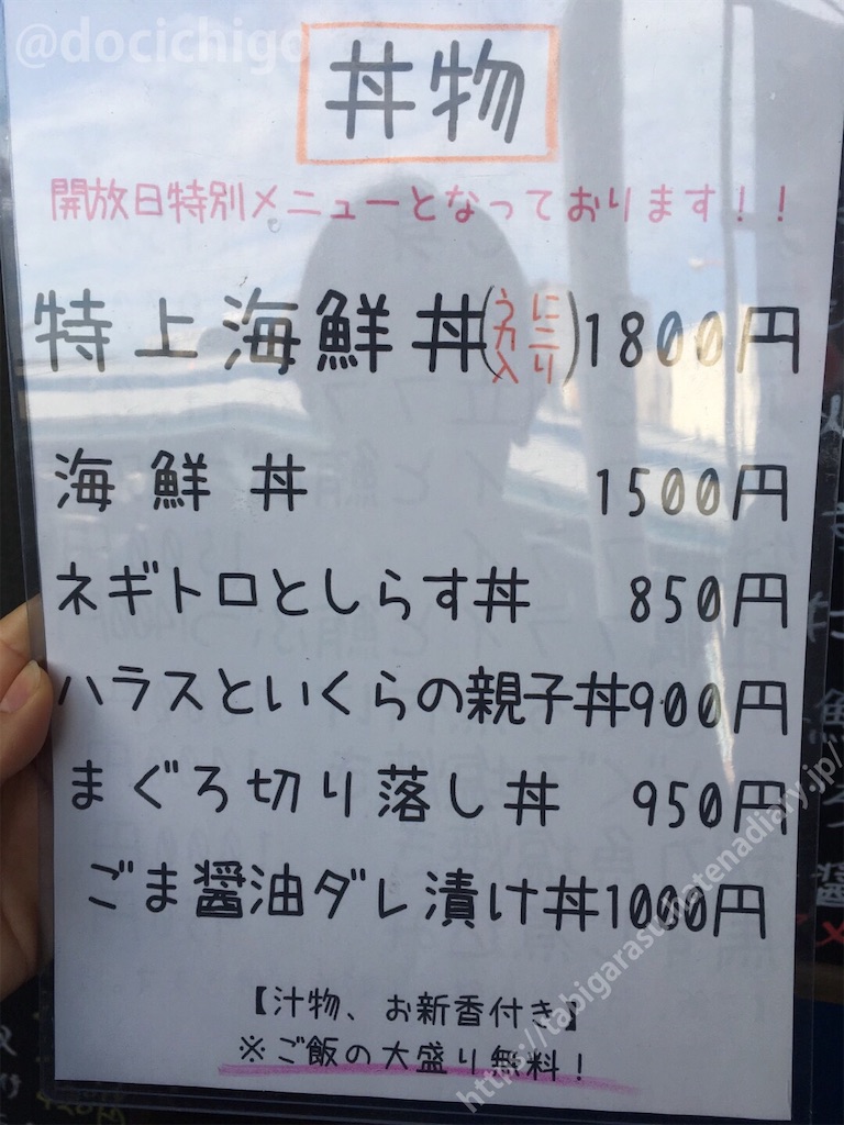 f:id:docichigo:20191111194336j:image