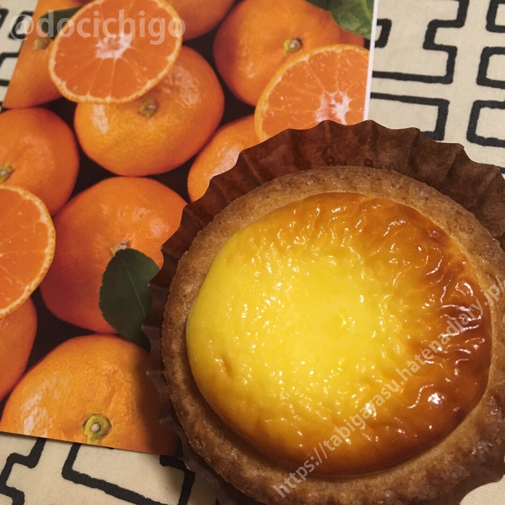f:id:docichigo:20191120214730j:image f:id:docichigo:20191120214730j:image