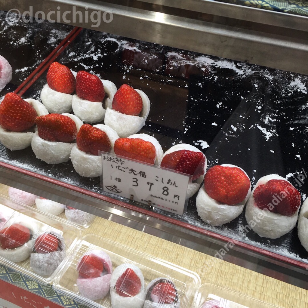 f:id:docichigo:20200123223338j:image