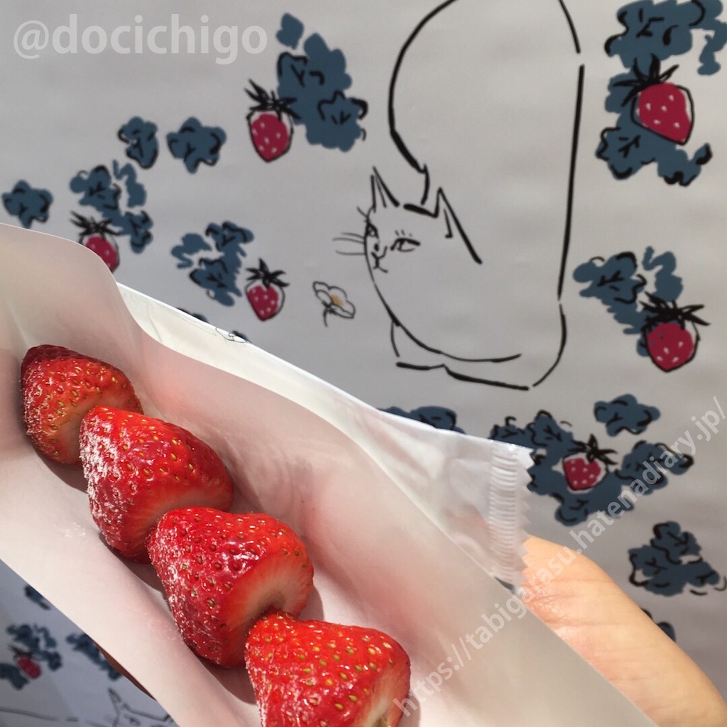 f:id:docichigo:20200126200443j:image