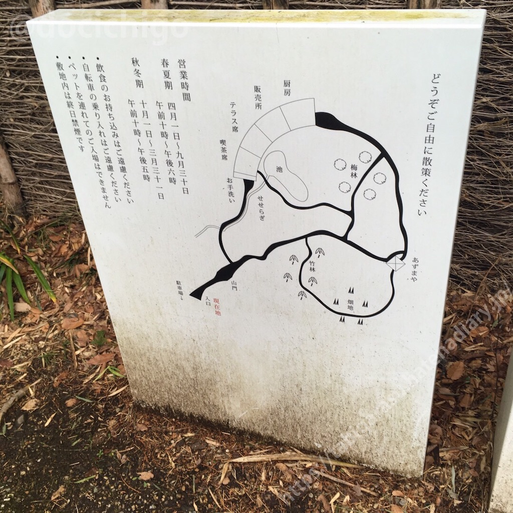 f:id:docichigo:20200224170313j:image