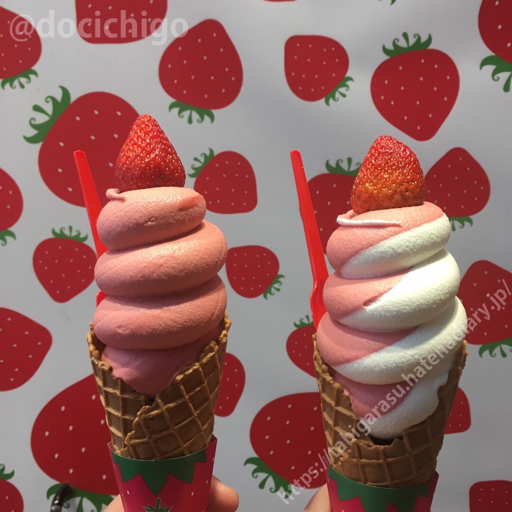 f:id:docichigo:20200607234341j:image