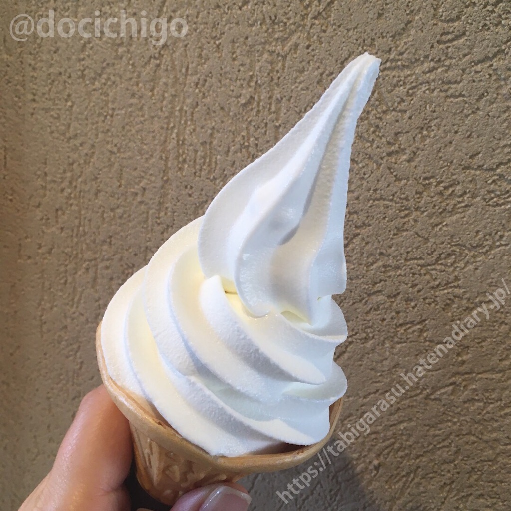 f:id:docichigo:20201206154145j:image