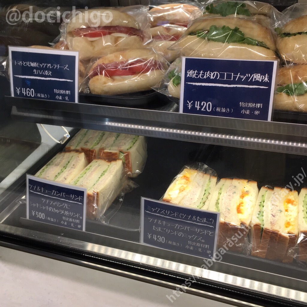 f:id:docichigo:20201206163834j:image