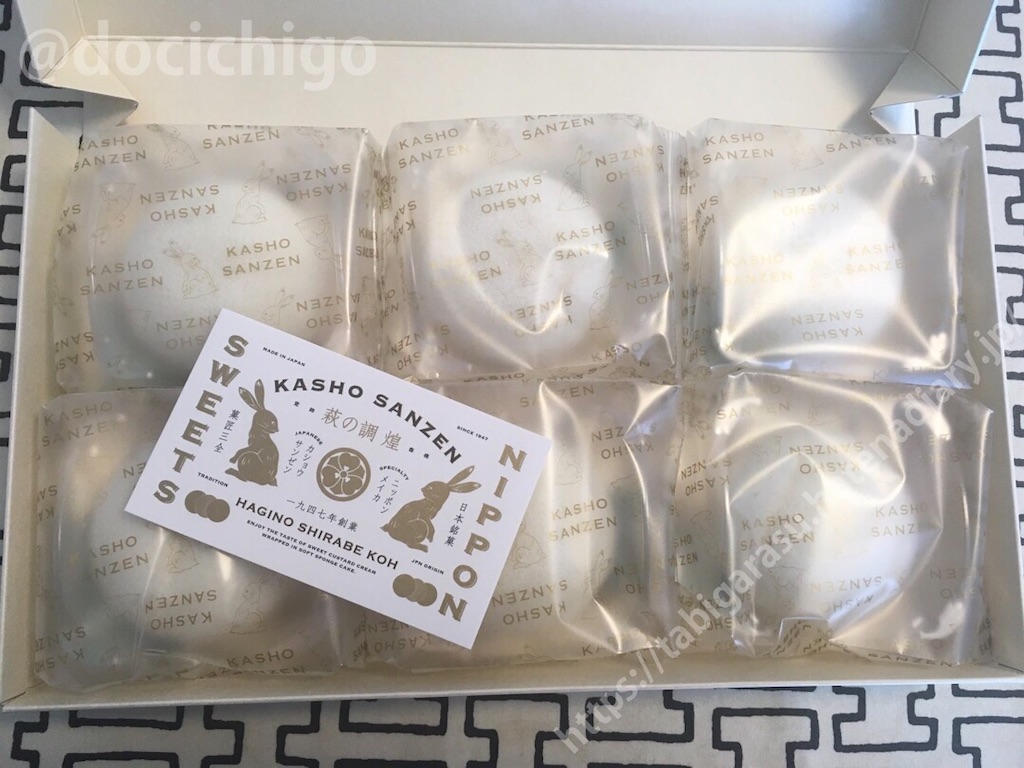 f:id:docichigo:20210124222610j:image