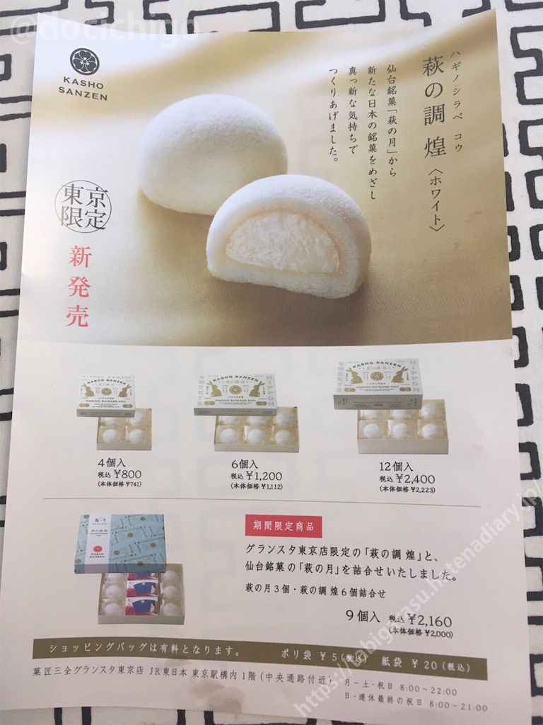 f:id:docichigo:20210124222620j:image