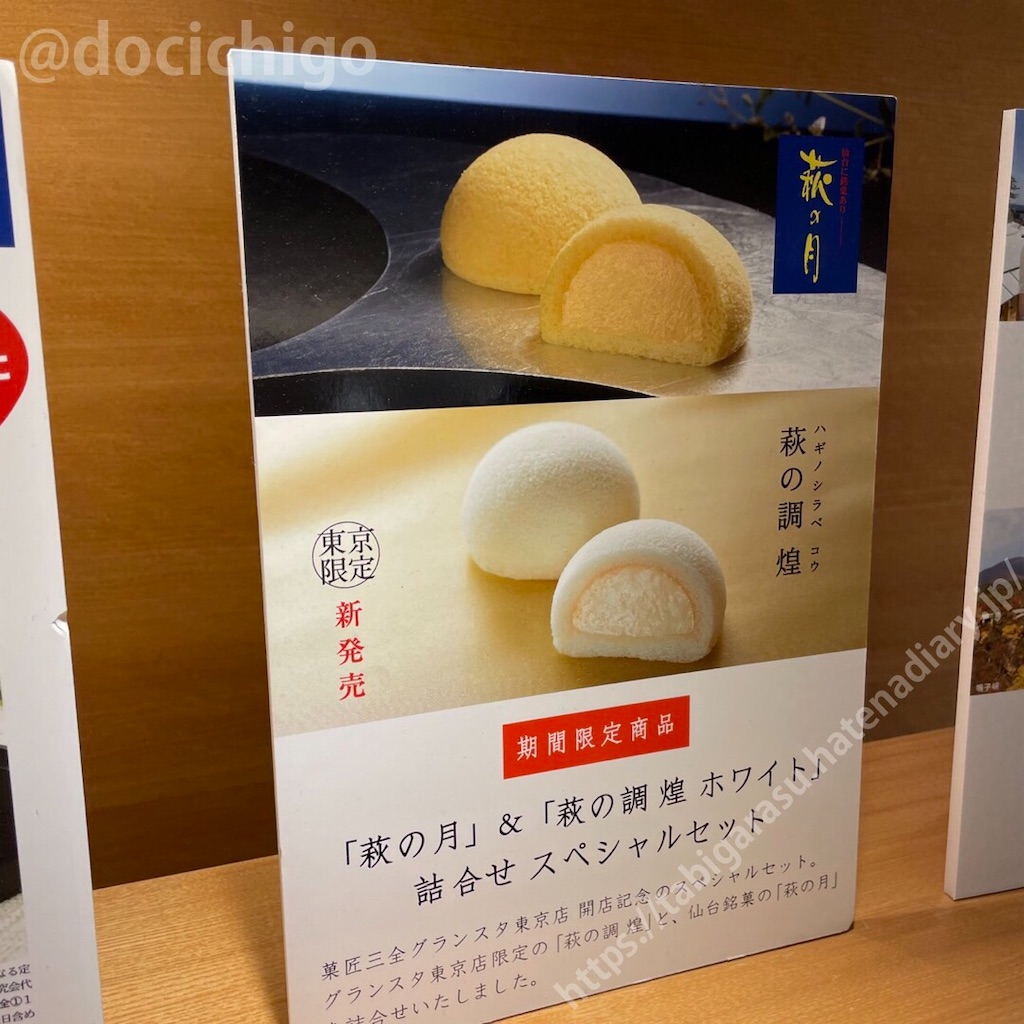 f:id:docichigo:20210124222624j:image