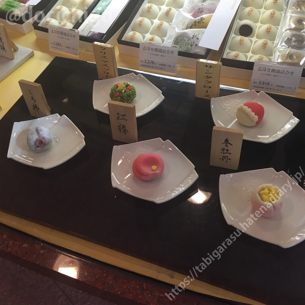 f:id:docichigo:20210131223350j:image f:id:docichigo:20210131223350j:image