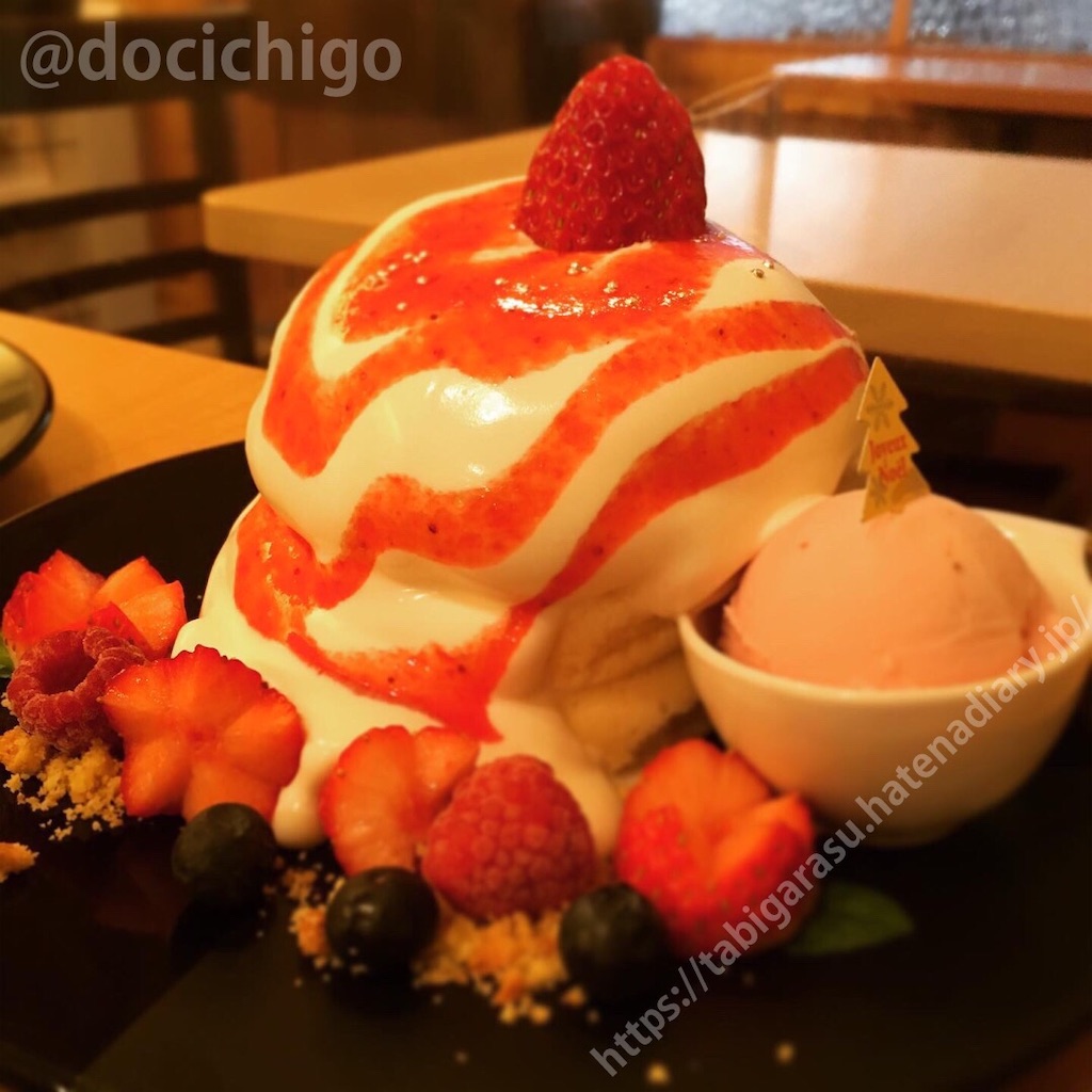 f:id:docichigo:20210207203649j:image f:id:docichigo:20210207203649j:image