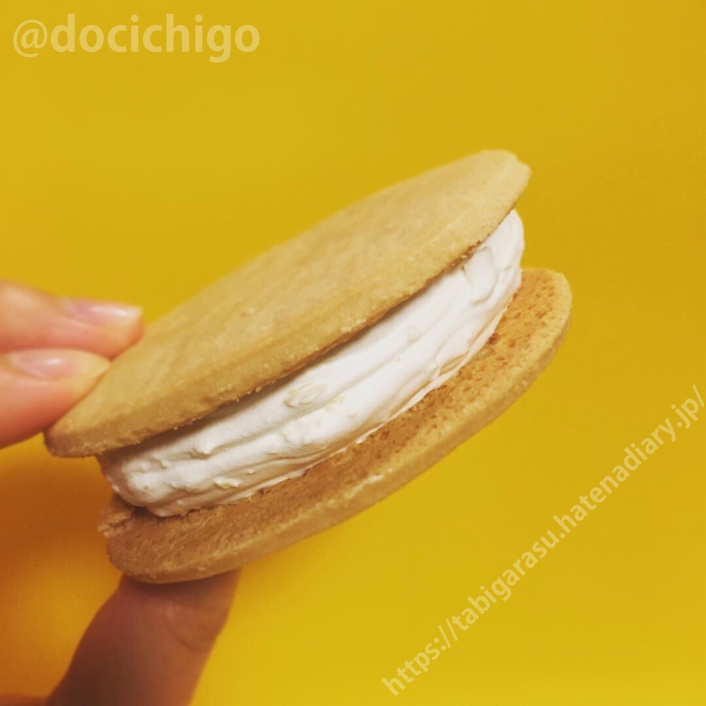 f:id:docichigo:20210214220317j:image f:id:docichigo:20210214220317j:image