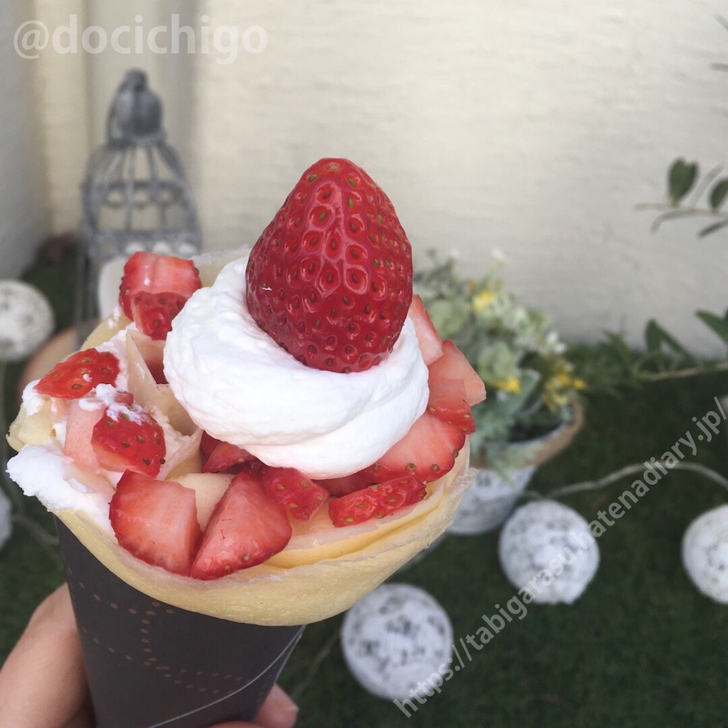 f:id:docichigo:20210321220643j:image
