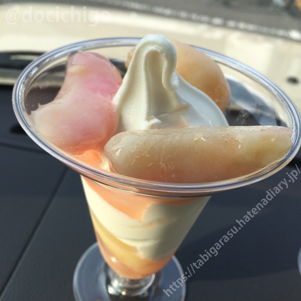 f:id:docichigo:20210404200442j:image