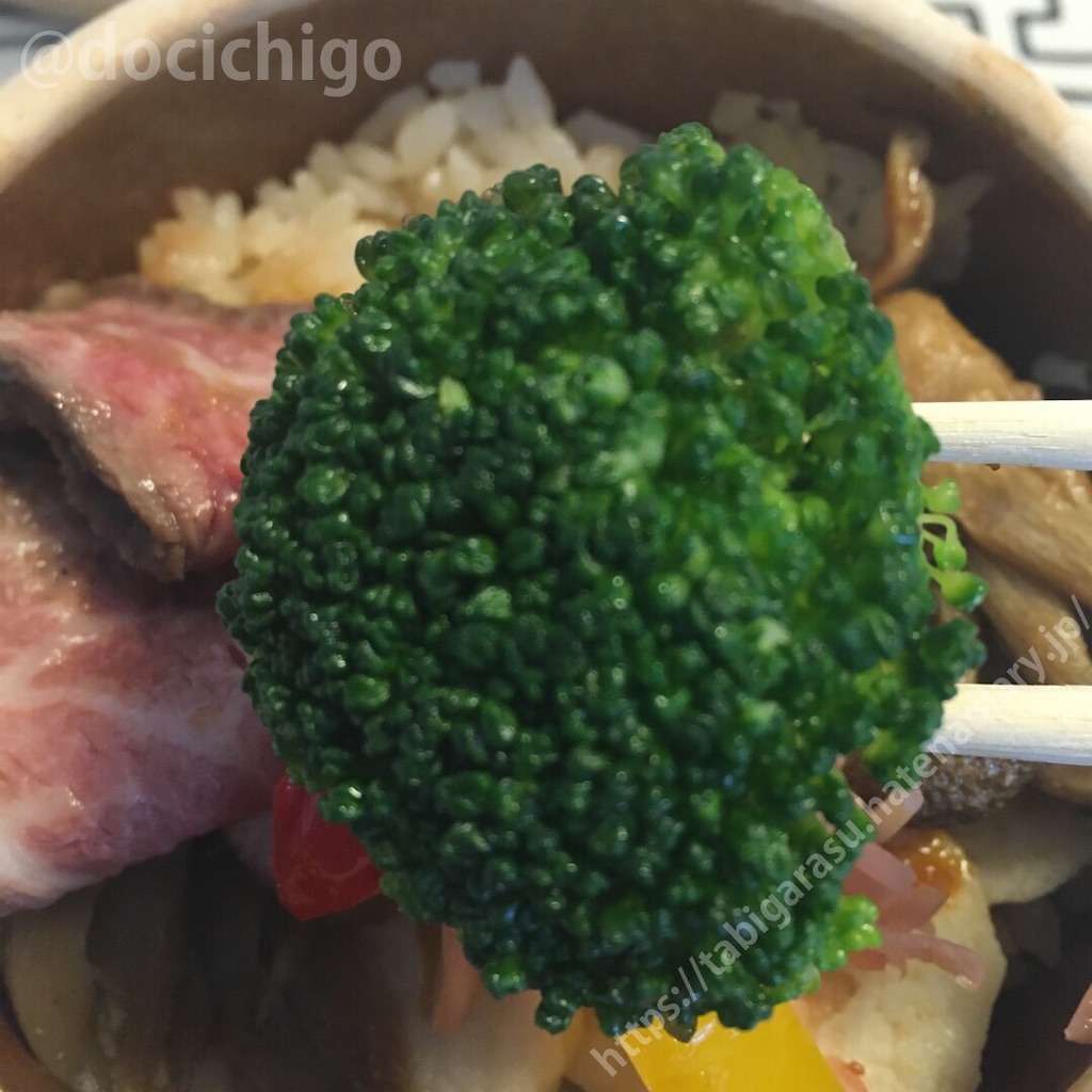 f:id:docichigo:20210509190718j:image
