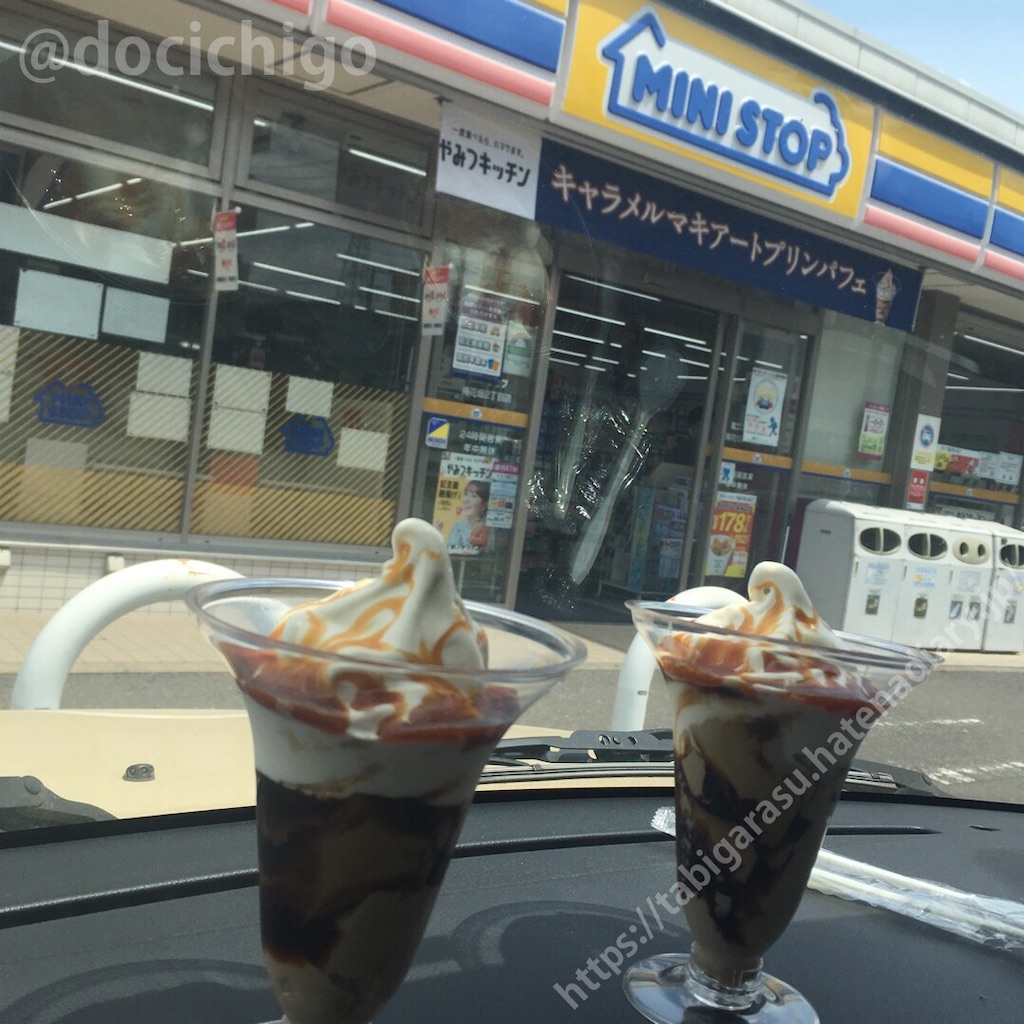 f:id:docichigo:20210523221442j:image