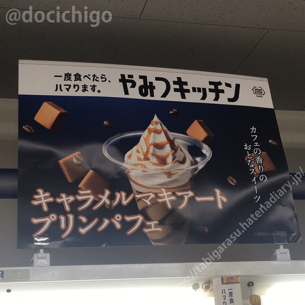 f:id:docichigo:20210523221445j:image