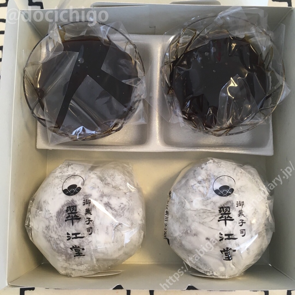 f:id:docichigo:20210530213048j:image