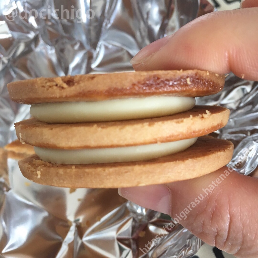 f:id:docichigo:20210620193406j:image f:id:docichigo:20210620193406j:image