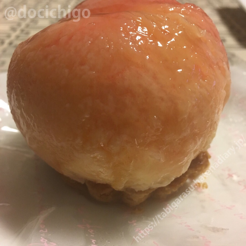 f:id:docichigo:20210801163013j:image