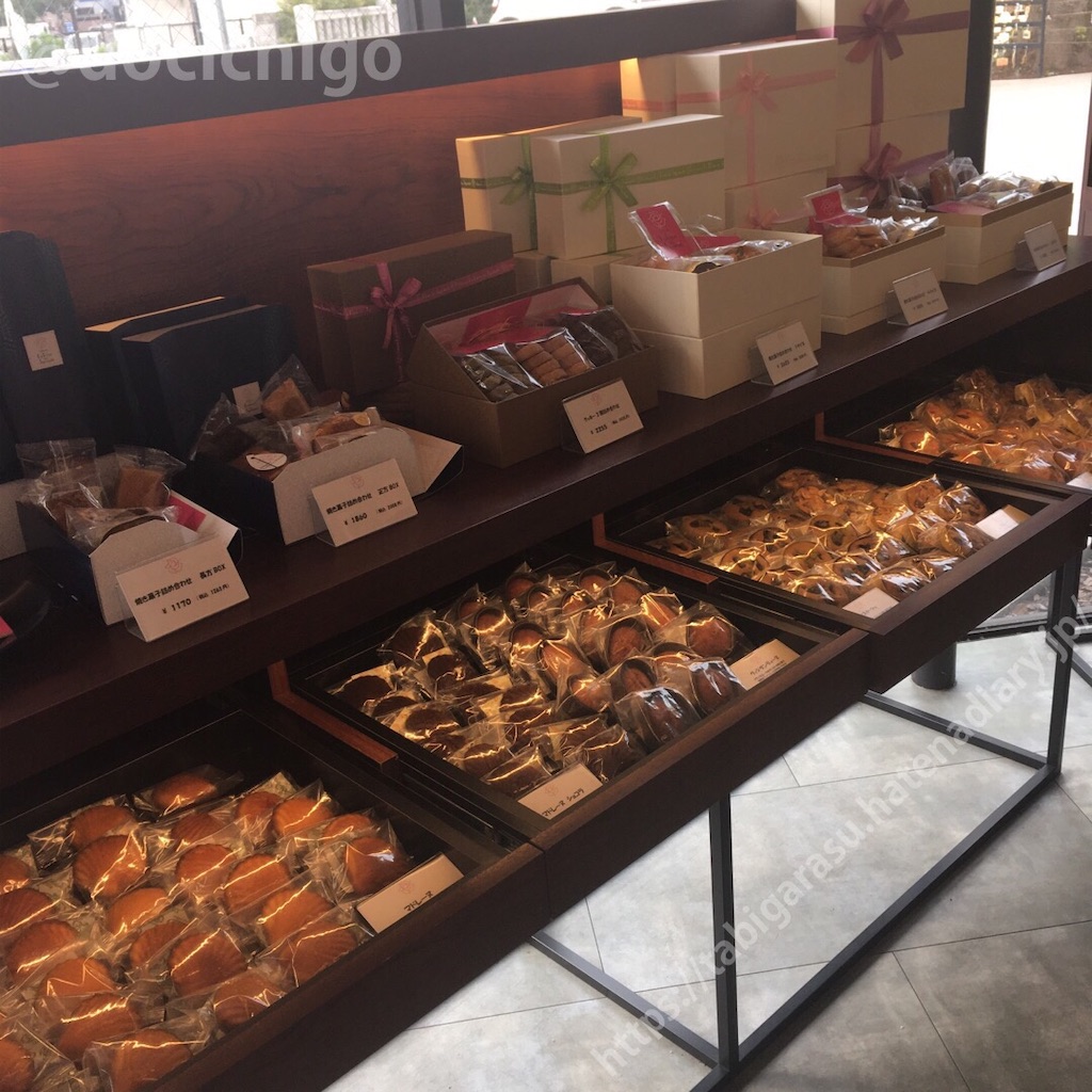 f:id:docichigo:20210926194939j:image