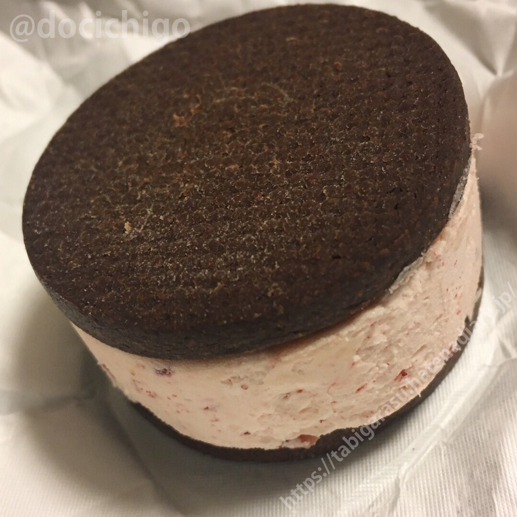 f:id:docichigo:20211120181242j:image