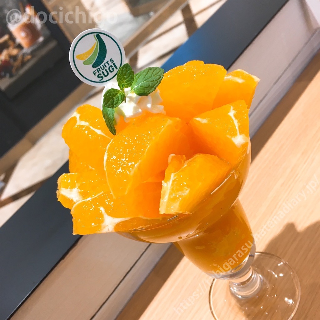 f:id:docichigo:20220103201643j:image