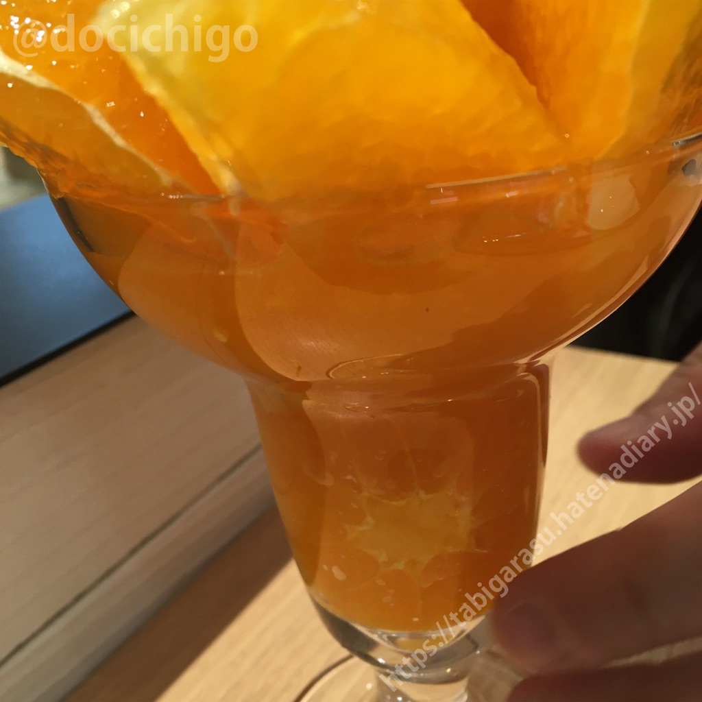 f:id:docichigo:20220103201658j:image