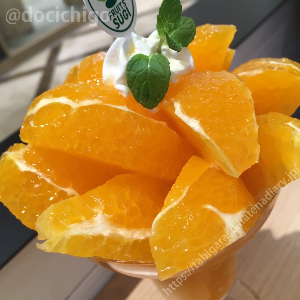 f:id:docichigo:20220103201714j:image