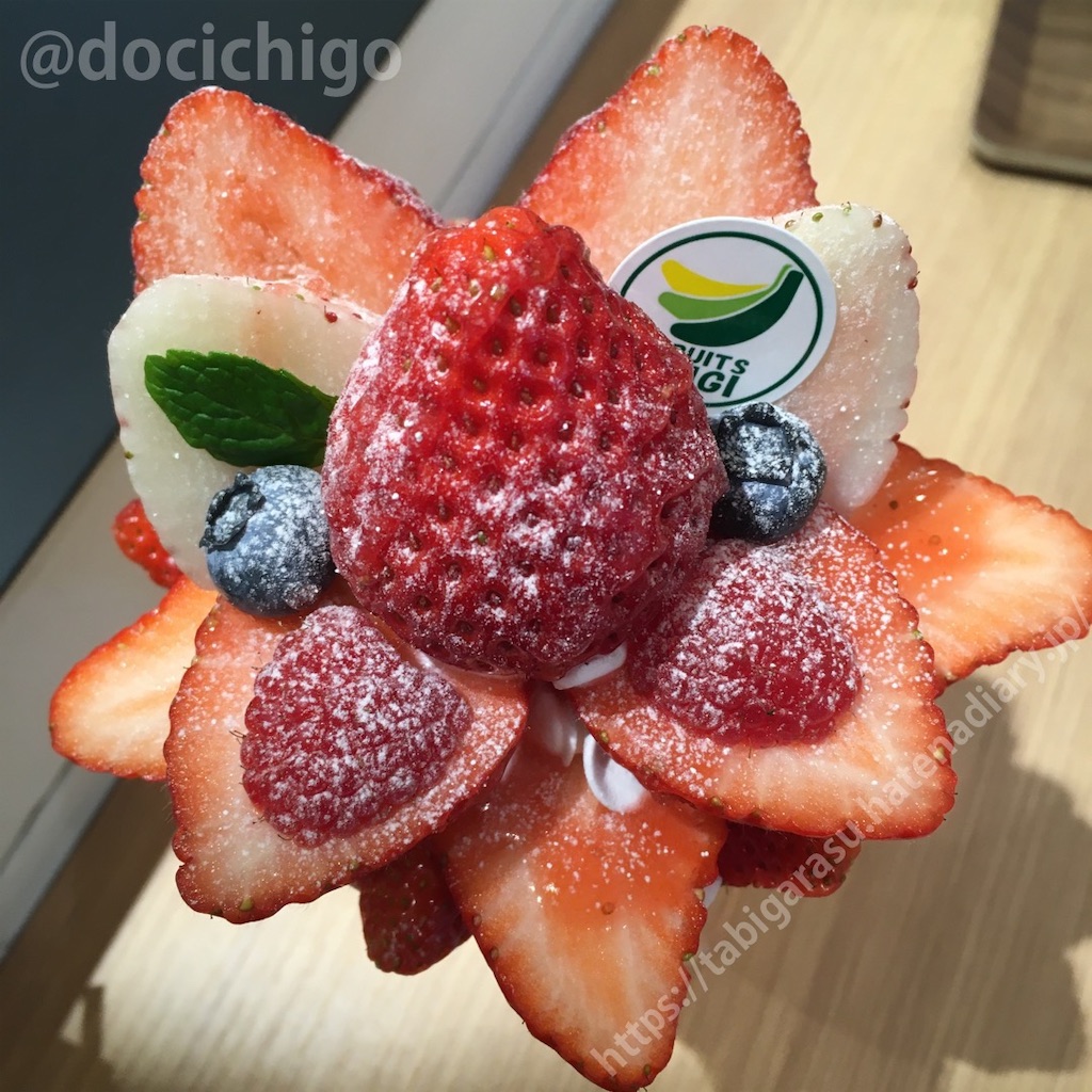 f:id:docichigo:20220103201716j:image