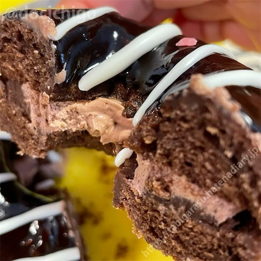 f:id:docichigo:20220109212314j:image