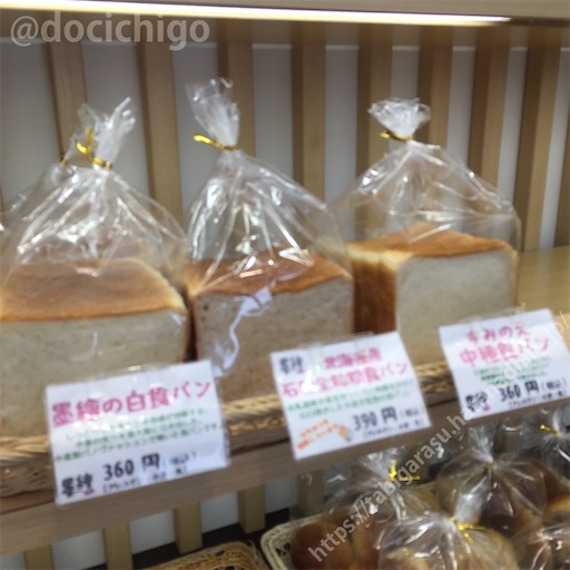 f:id:docichigo:20220109225620j:image