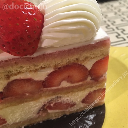 f:id:docichigo:20220212214137j:image