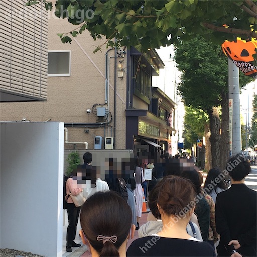 f:id:docichigo:20220212214208j:image
