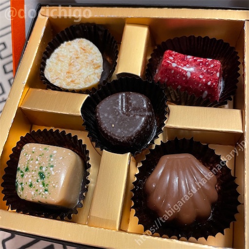 f:id:docichigo:20220220151131j:image f:id:docichigo:20220220151131j:image