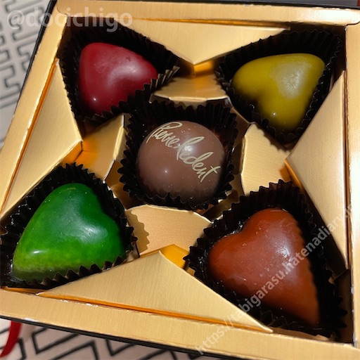 f:id:docichigo:20220220151159j:image f:id:docichigo:20220220151159j:image