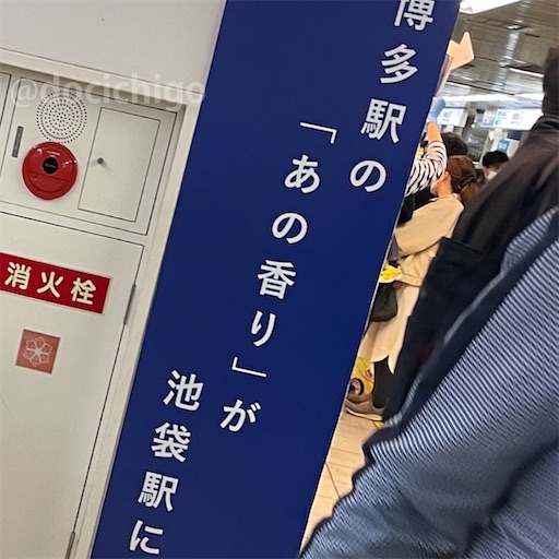 f:id:docichigo:20220327111055j:image