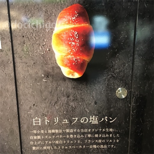 f:id:docichigo:20220403093202j:image