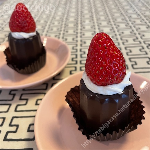 f:id:docichigo:20220409224758j:image f:id:docichigo:20220409224758j:image